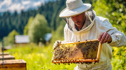 Beekeeper in a white suit checks a honeycomb frame in a green field. He sets up new hives in summer sunlight, creating a structure for honey production