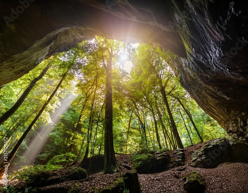 sunlight streaming through forest canopy from inside cave opening