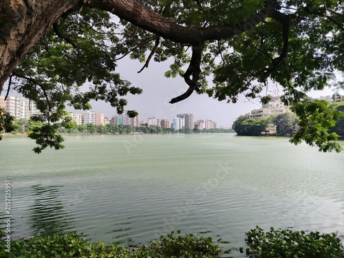 lake in the park
