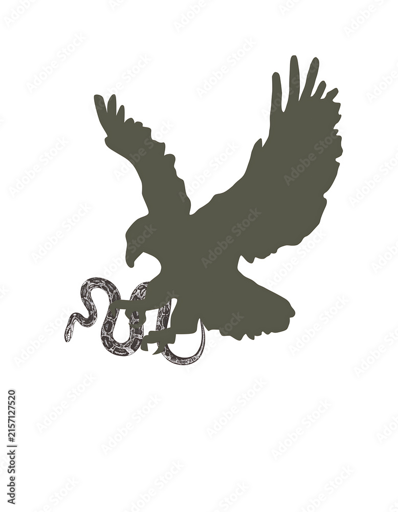 Fototapeta premium Eagle carrying fish in flight silhouette