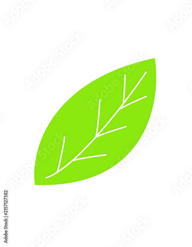 Simple green leaf isolated on transparent background