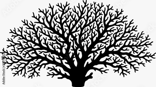 Black Tree Silhouette with Intricate Branches, Bare Woodland Tree and Natural Botanical Vector Illustration