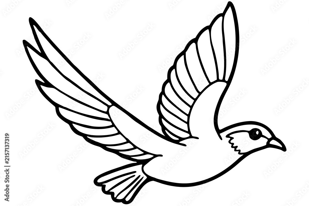 Fototapeta premium Flying white dove with outspread wings