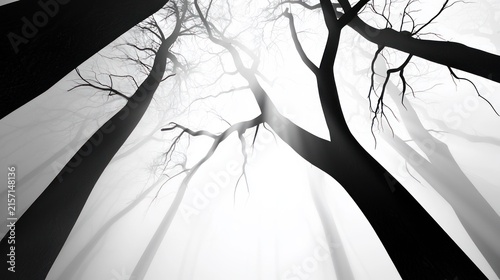 Looking Up Through Bare Tree Branches Against Bright Sky.