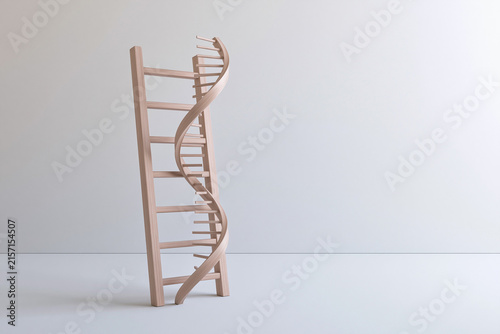 Wooden ladder twisting into a DNA double helix science and progress