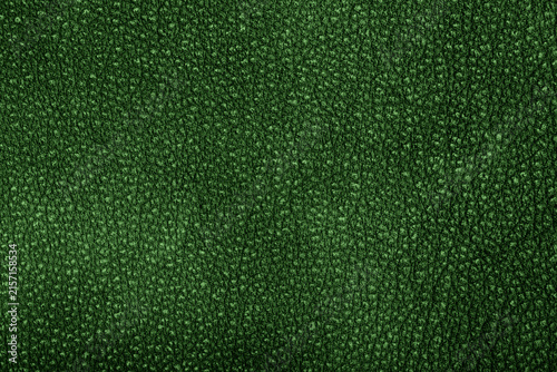 Quadro su tela Green suede texture