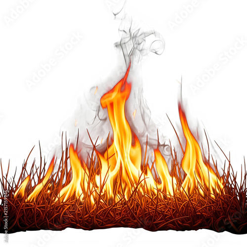 Fire burning grass isolated on transparent background PNG cutout