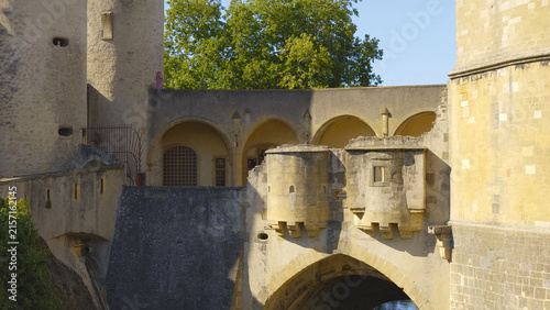 Obraz na płótnie Porte des Allemands medieval bridge and gatehouse spanning the Seille river