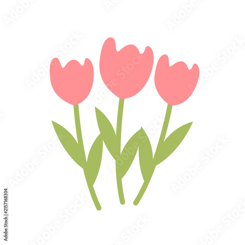 Cute Pink Tulip Flower Bouquet on stems with green leaves as PNG cutout