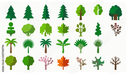 Colorful Tree Illustration Set with Pine, Palm, Bamboo, Fruit, Blossom, Maple, Tropical and Decorative Forest Trees