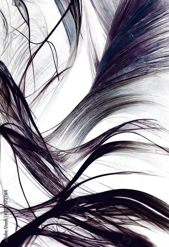 Abstract Dark Purple and Blue Flowing Lines Waves on Black Background