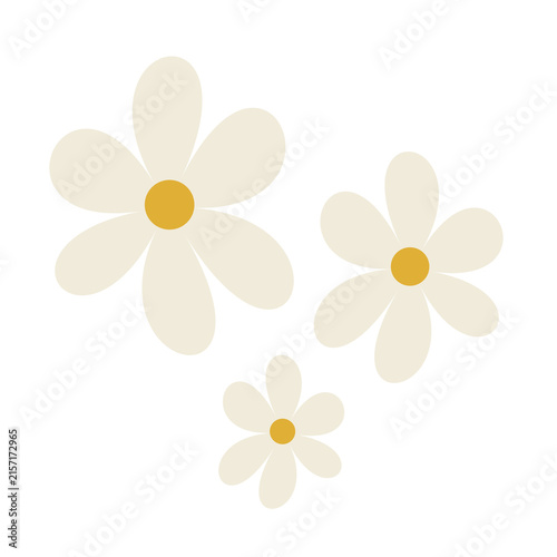 Minimalist White Daisy Flower creative abstract handsaw backdrop wildflower aesthetic as cut out PNG