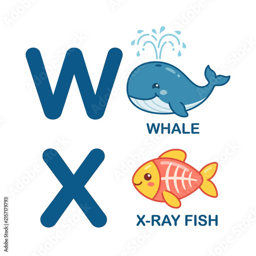 Alphabet W and X with Whale and X-ray Fish Illustrations for Kids Education