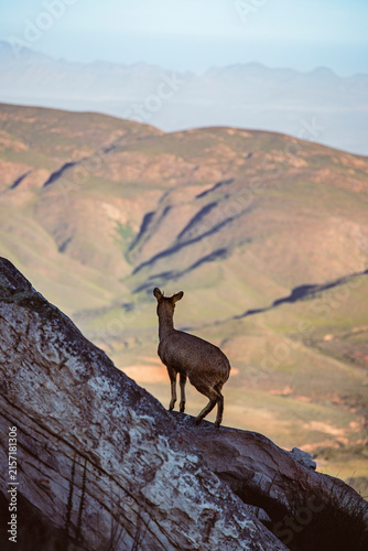 Quadro su tela Swartberg Pass, South Africa