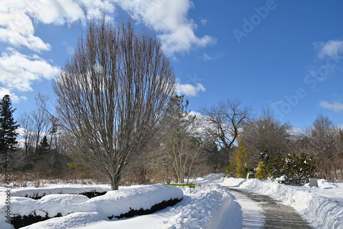 Winter landscape of the snow covered footpath with blue sky background