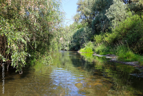 Cuadro en lienzo A tranquil forest river flows gently between lush green banks covered with dense trees and bushes