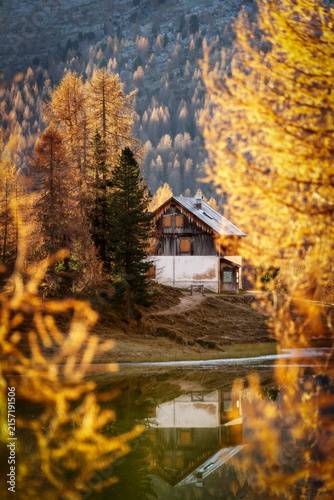Scenic alpine cabin surrounded by autumn larch trees in Dolomites Italy 2024