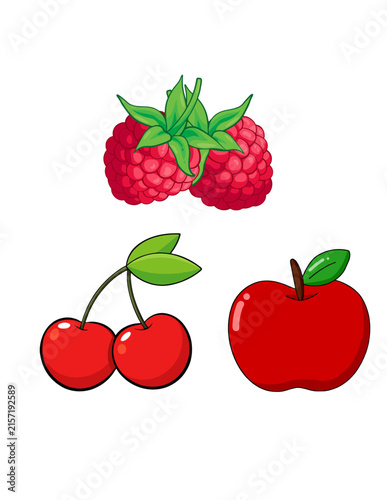 red Fruit Collection – Apple, Grapes, Lime and Pear Cartoon Vector Illustrations