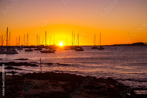 Bild auf Leinwand Port of Punta del Este, Uruguay