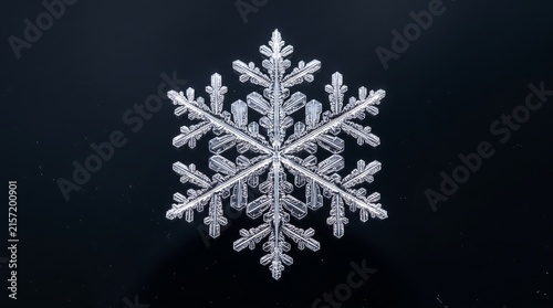 Microscopic snowflake on black glass - hexagonal crystal perfection macro, Premium Nature Stock Photography Capture.
