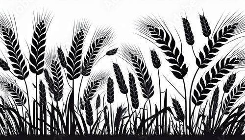 wheat field ears of wheat rye or barley agriculture and harvest black isolated silhouette on white background drawing