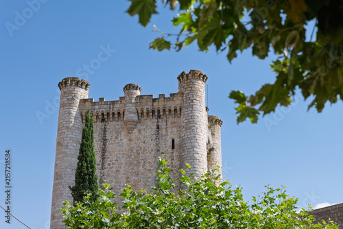 Canvastavla Tiedra castle medieval fortress stone architecture under blue sky
