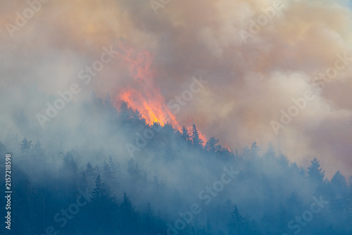 Wildfire Flames and Thick Smoke Over Conifer Forest Near Hope, BC, Canada Emergency
