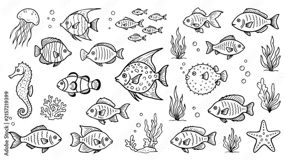 Obraz premium Doodle set of sea life, hand drawn vector icons and line art illustration of ocean fish.