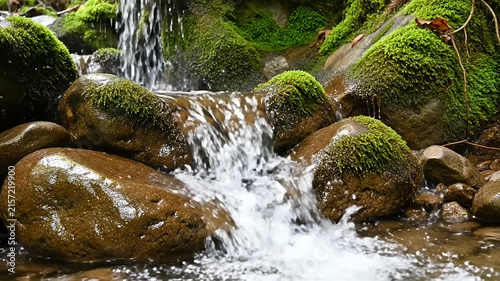 Fresh water stream flowing over mossy forest rocks