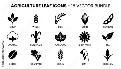 Set of fifteen agriculture leaf icons created by a professional vector illustrator for farming and food industry designs