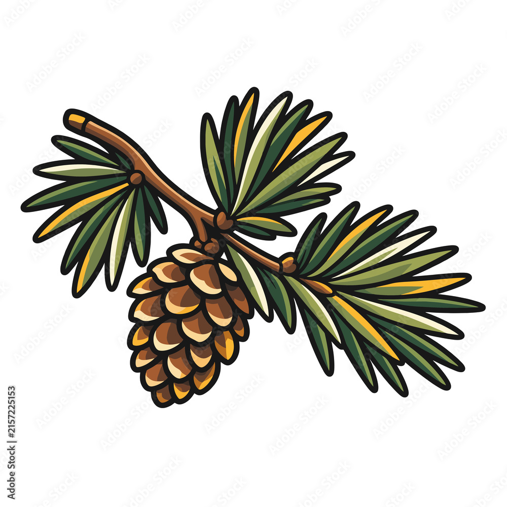 Obraz premium Vector illustration of a pine tree branch with green needles and a detailed brown pine cone isolated on white background