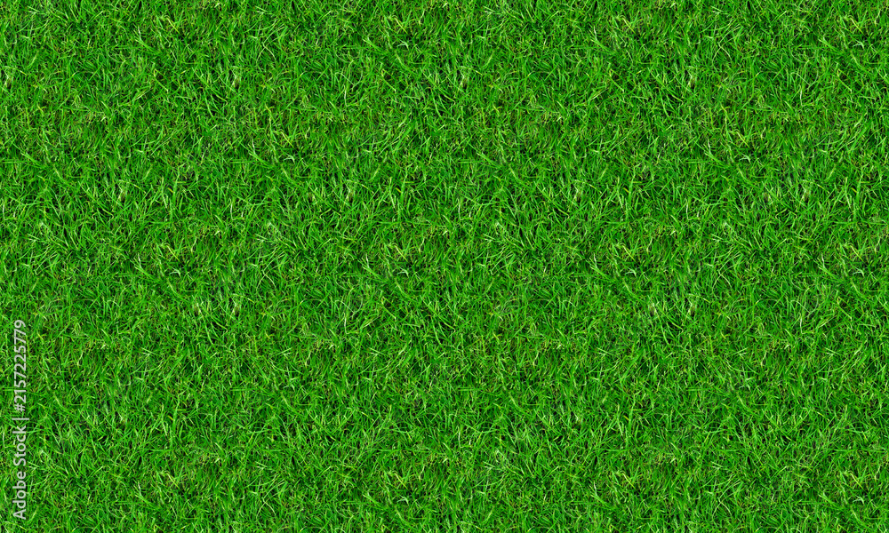 Fototapeta premium Fresh Green Grass Natural Texture Background with Detailed Lawn Surface