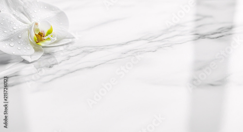 White orchid flower resting on a clean marble surface with water drops for wellness and spa background