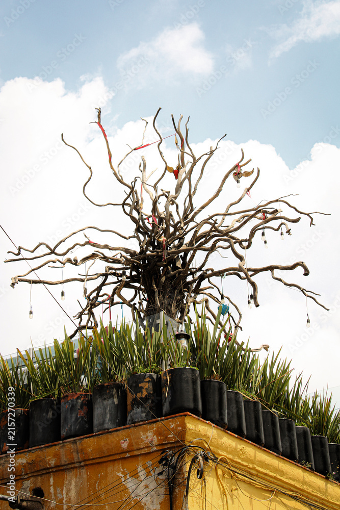 Fototapeta premium Arbol decorado, en terraza de un pueblo pintoresco San Miguel de Allende Guanajuato, méxico, de fondo el cielo azul .