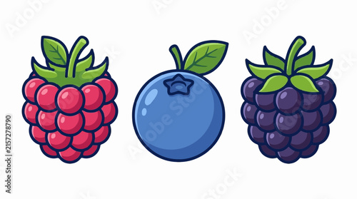 Fresh berry fruit icon set flat vector illustration featuring raspberry blueberry and blackberry for food branding and recipe design