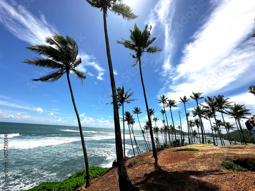 Palm Trees Along Ocean Coast with Blue Sky and Waves Scenic Beach Landscape