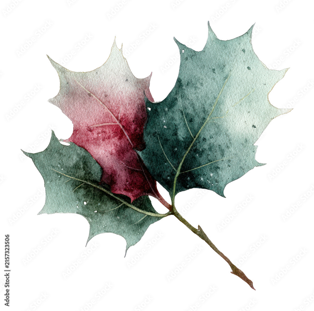 Fototapeta premium PNG Watercolor autumn leaf illustration.