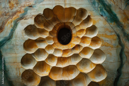 abstract topological structure, symmetrical, large, organic, geometric oyster shell pattern on the ceiling in an ancient cave, photorealistic