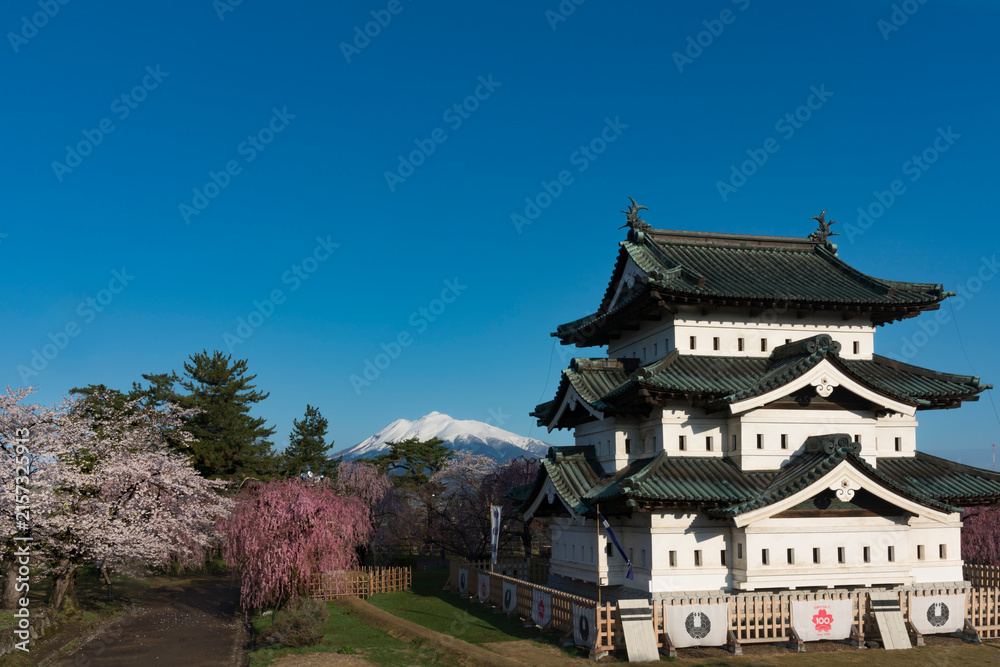 Obraz premium 満開の桜と弘前城天守閣と残雪の岩木山
