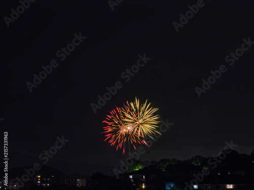 Fotografie 静かな街並みの夜空に可憐に咲く赤と金の二色花火