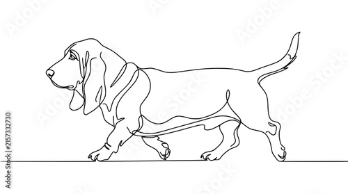 Basset Hound Continuous Line Drawing Isolated on Transparent Background