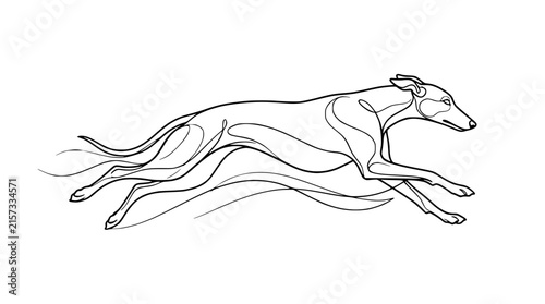 Canvas Print Minimalist Line Art Greyhound Running, Isolated