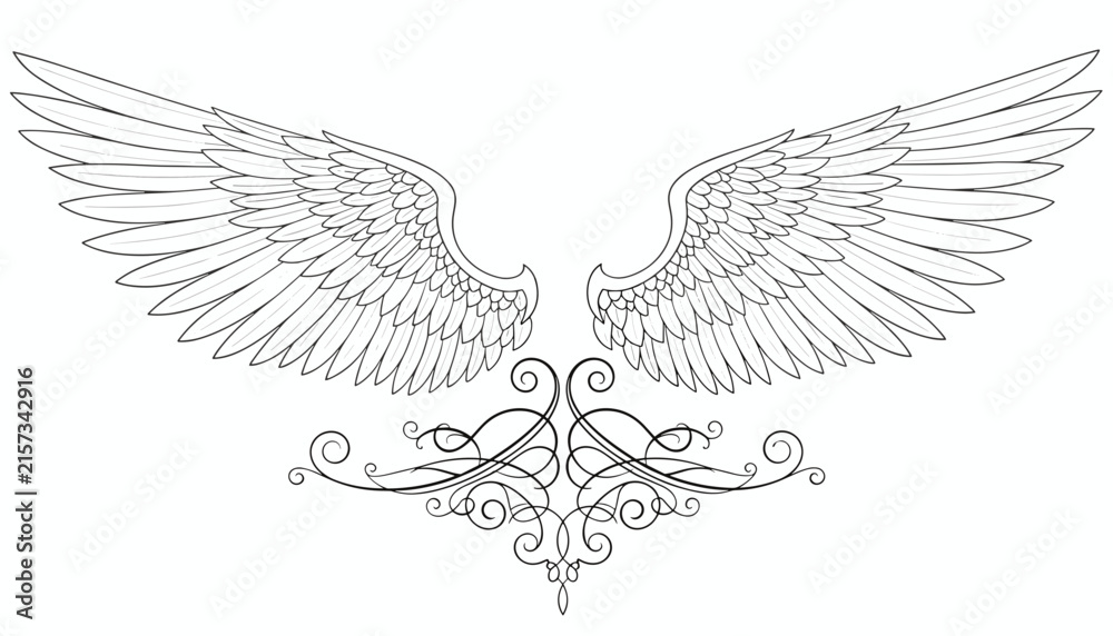 Fototapeta premium Detailed black and white sketch of majestic spread angel wings decorated with elegant baroque swirls underneath.