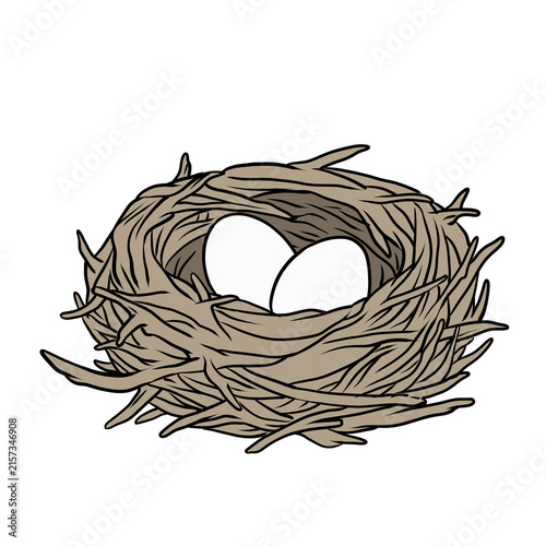 Bird nest with two white eggs cartoon illustration for children education isolated on transparent background
