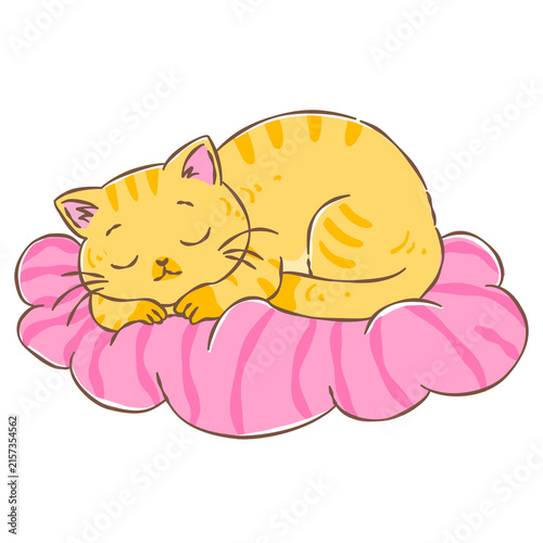 Foto Cute ginger kitten sleeping peacefully on soft pink cloud-shaped pillow in cozy