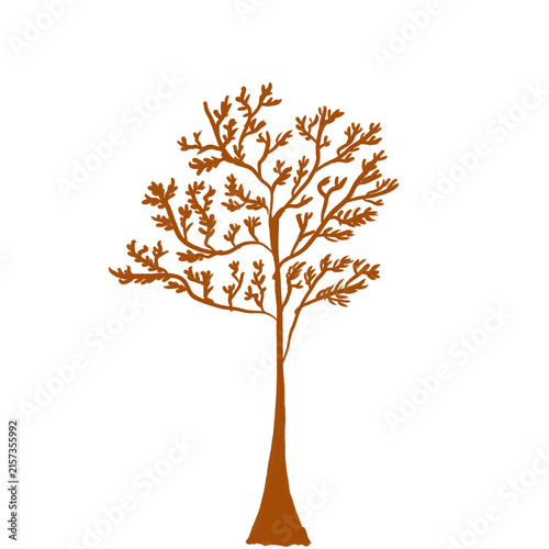 autumn tree vector