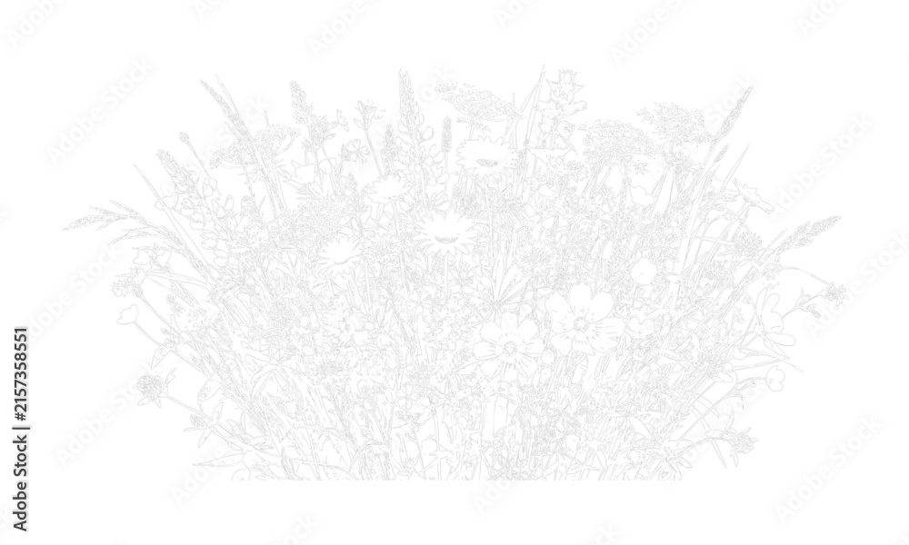 Fototapeta premium Detailed sprawling bush sketch illustration for park landscape design