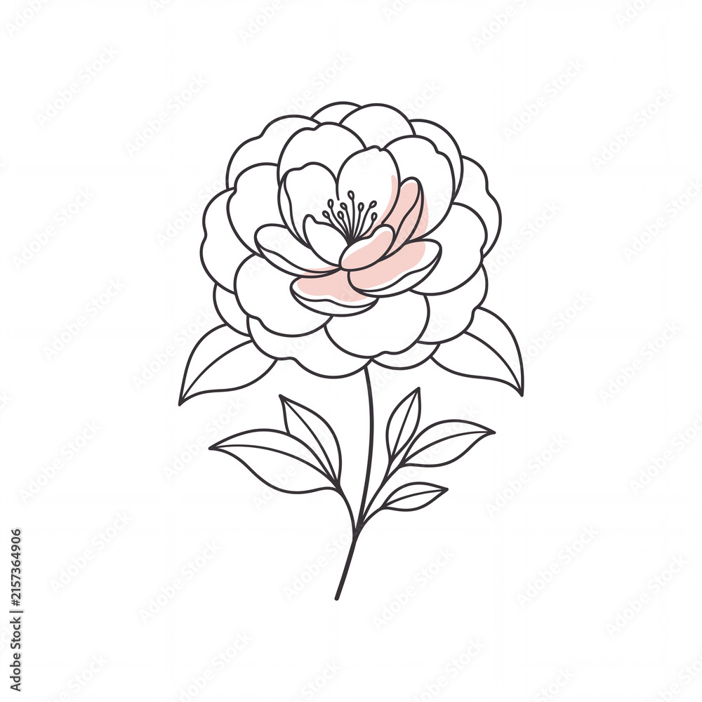 Obraz premium Minimal Line Drawing of a Peony Flower