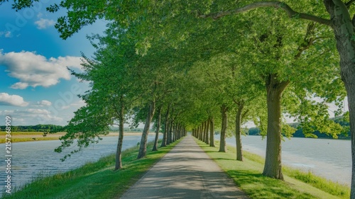 Scenic Tree Lined Canoe Trail Pathway Along Lake shore riverbank in summer