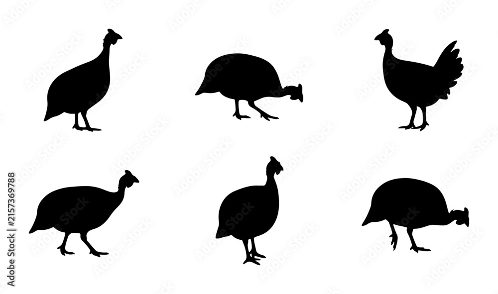 Obraz premium Guinea Fowl Silhouettes, Farm Bird Vector Icons, Poultry Graphics, Agricultural Wildlife